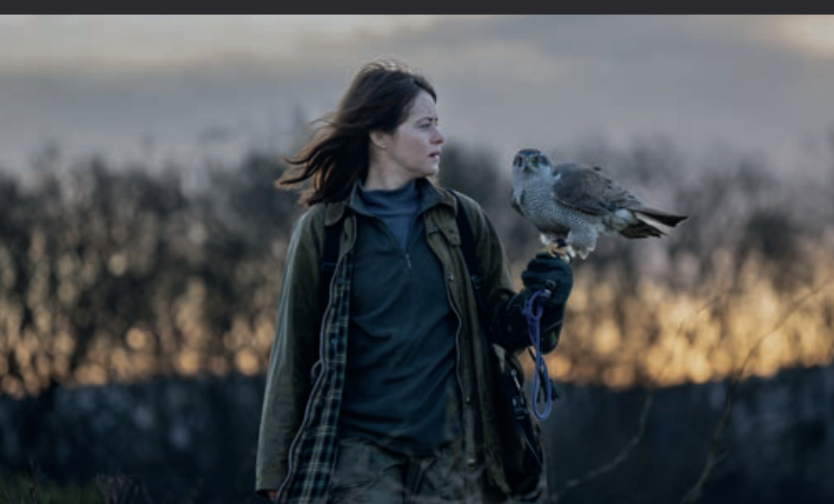H is for Hawk